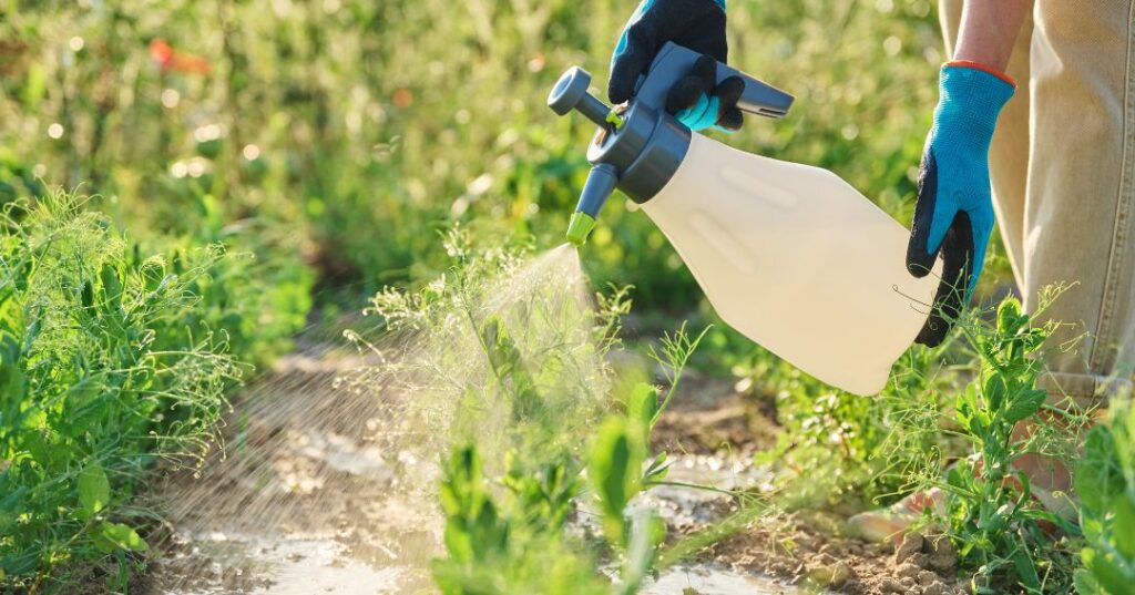 controle de pragas em Santos