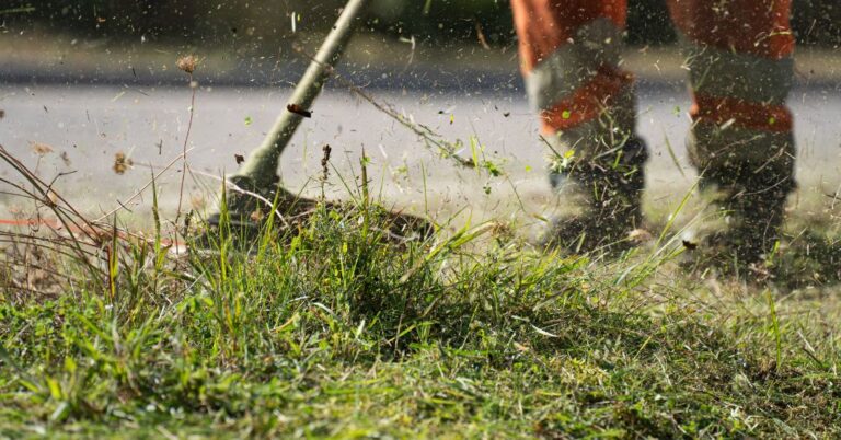corte de grama em Santos