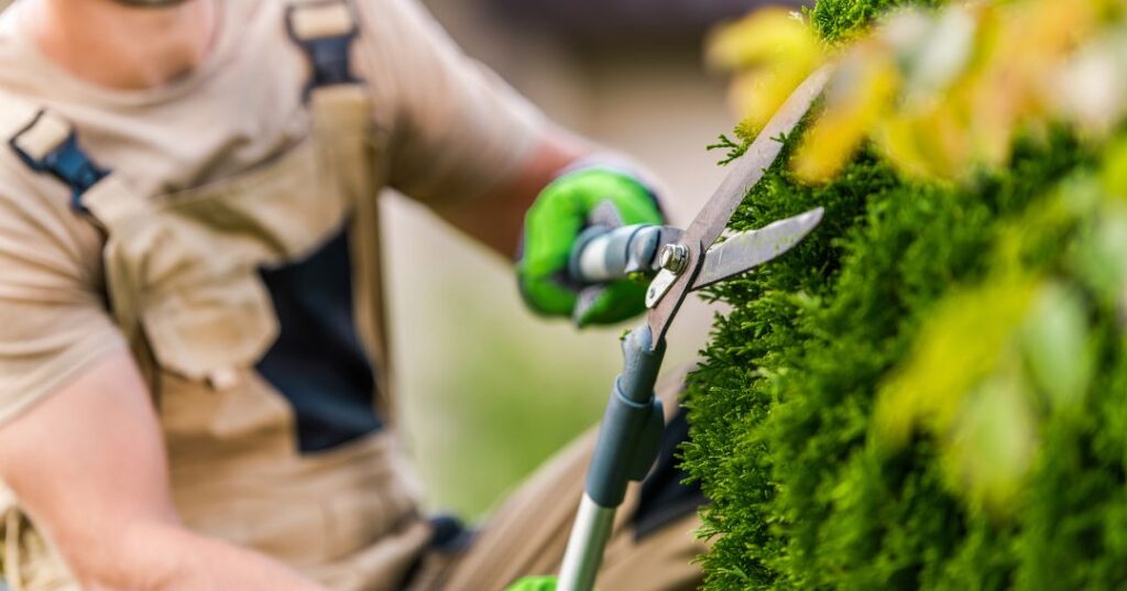 poda e plantio em Santos